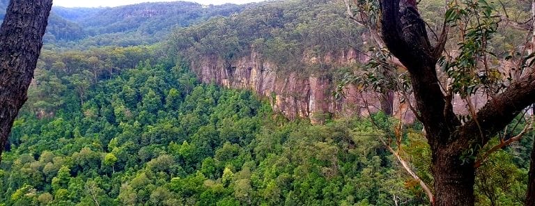 The valley from Belmore Falls is just spectacular