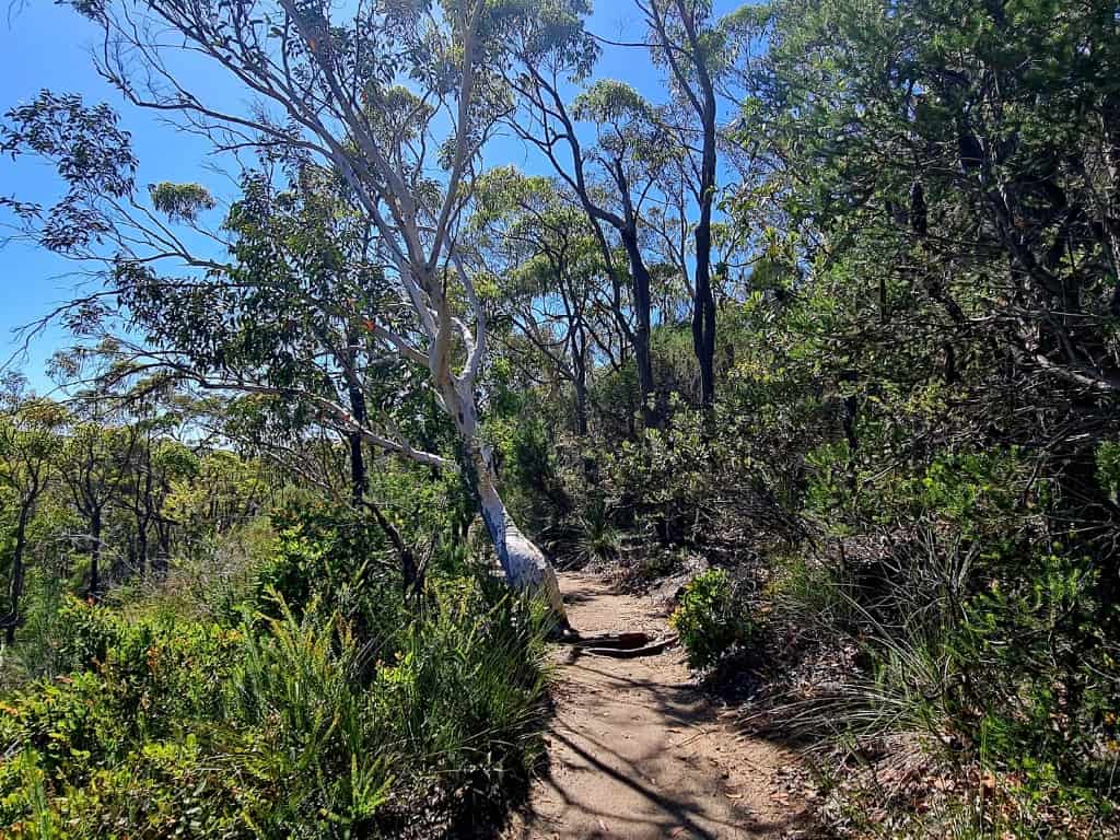 The scenery along the walking track to get to Karloo Pools