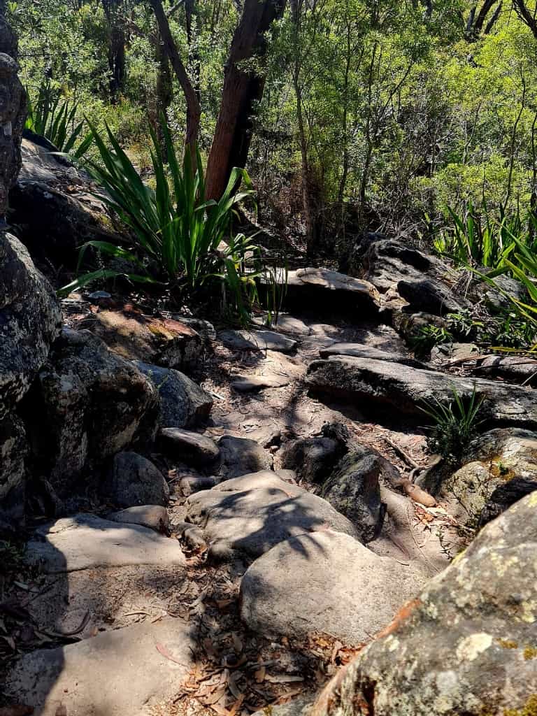 Some scrambling along the walking track to get to Karloo Pools